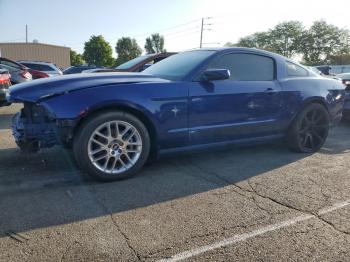  Salvage Ford Mustang