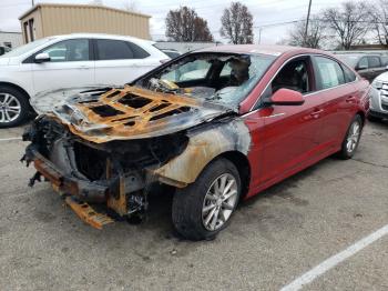  Salvage Hyundai SONATA