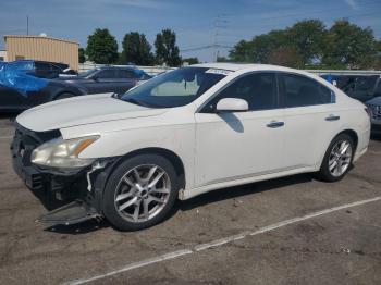  Salvage Nissan Maxima