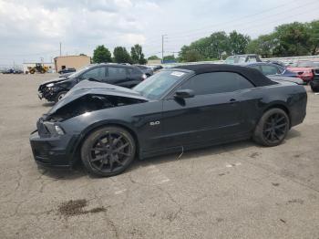  Salvage Ford Mustang