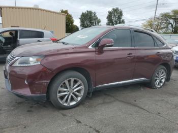  Salvage Lexus RX