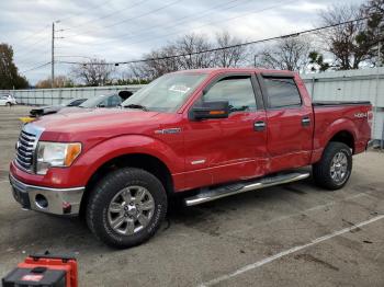  Salvage Ford F-150