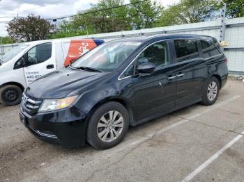  Salvage Honda Odyssey