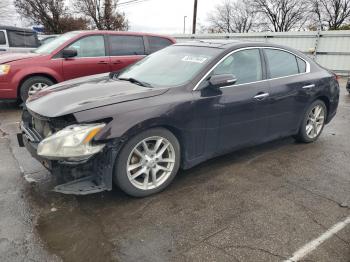  Salvage Nissan Maxima