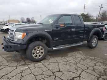  Salvage Ford F-150