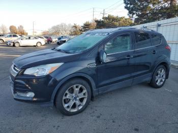  Salvage Ford Escape