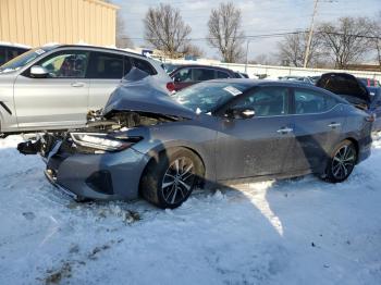  Salvage Nissan Maxima