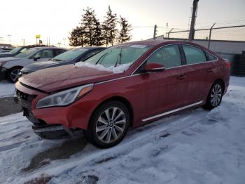  Salvage Hyundai SONATA