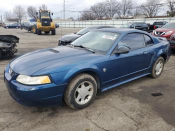  Salvage Ford Mustang