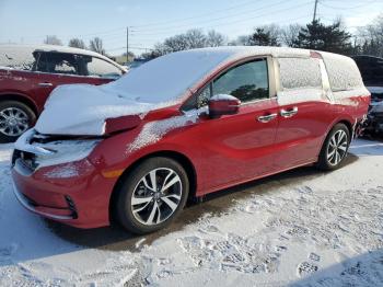  Salvage Honda Odyssey