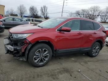  Salvage Honda Crv