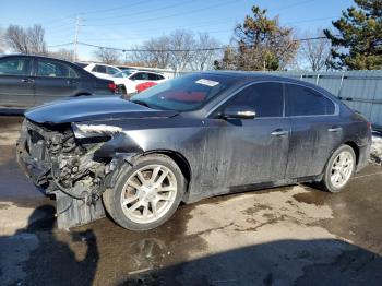  Salvage Nissan Maxima