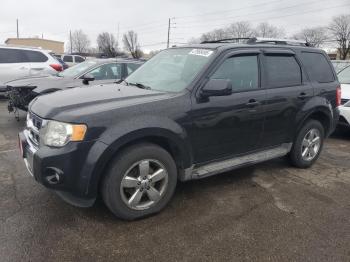  Salvage Ford Escape