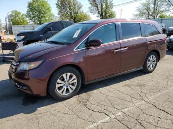  Salvage Honda Odyssey