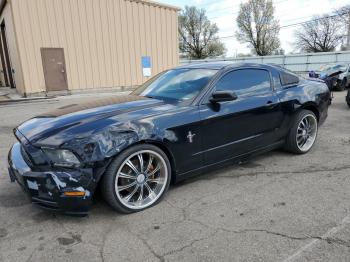  Salvage Ford Mustang