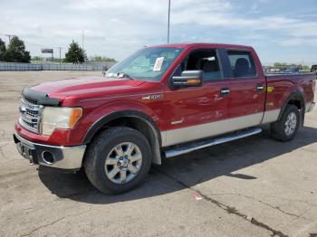  Salvage Ford F-150