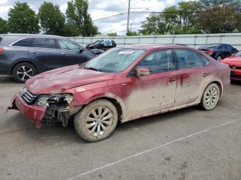 Salvage Volkswagen Passat