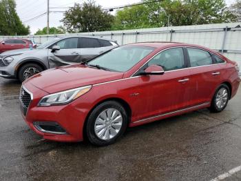  Salvage Hyundai SONATA