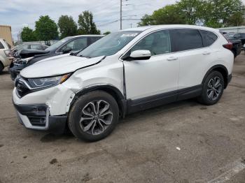  Salvage Honda Crv