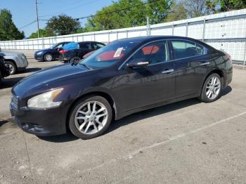  Salvage Nissan Maxima