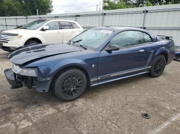  Salvage Ford Mustang