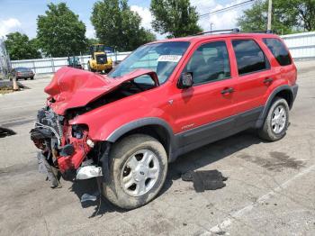  Salvage Ford Escape