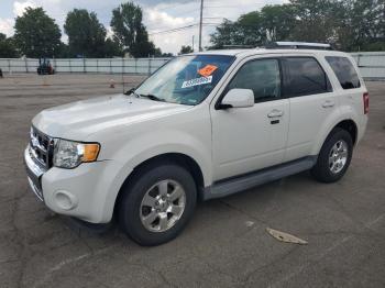  Salvage Ford Escape