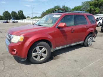  Salvage Ford Escape