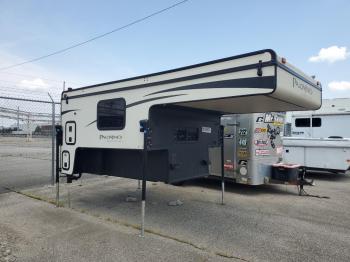  Salvage Wildwood Palomino