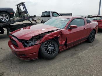  Salvage Ford Mustang