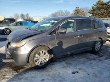  Salvage Honda Odyssey