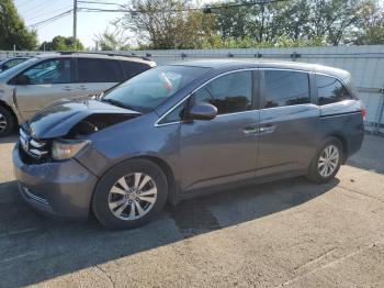  Salvage Honda Odyssey