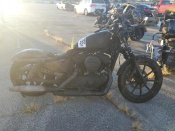  Salvage Harley-Davidson Xl883 N