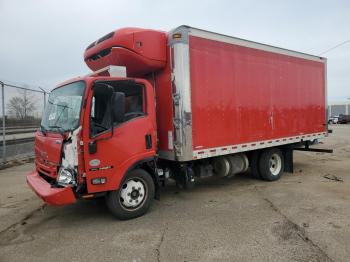  Salvage Isuzu Nqr