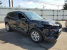 Ford Escape Active Image 4