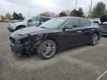  Salvage Nissan Maxima