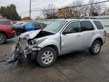  Salvage Mazda Tribute