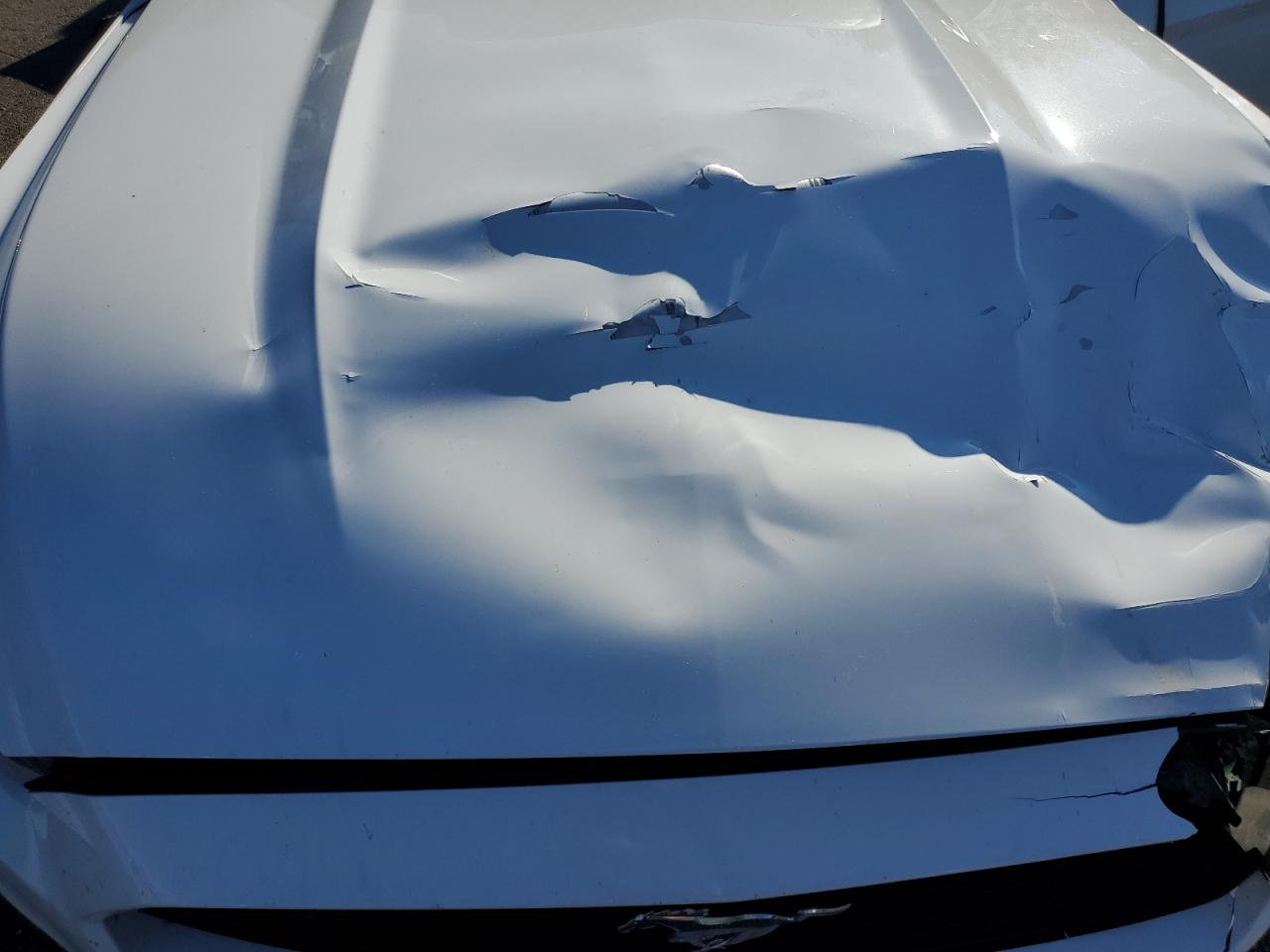 Ford Mustang Image 11