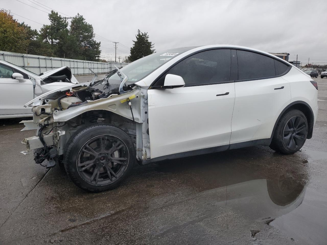 Tesla Model Y Image 1