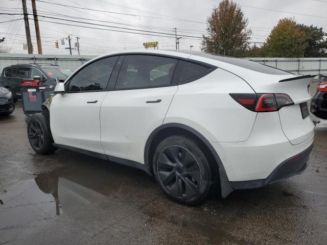 Tesla Model Y Image 3