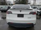 Tesla Model Y Image 4