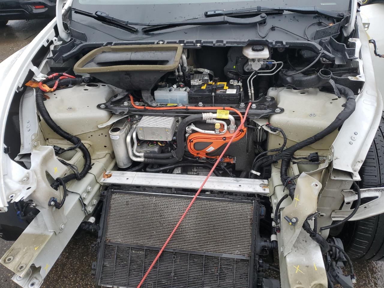 Tesla Model Y Image 6