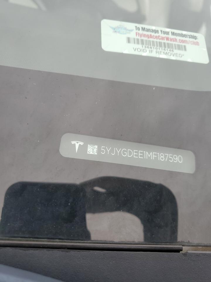 Tesla Model Y Image 5