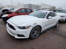 Ford Mustang Image 1