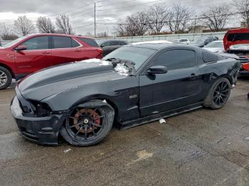  Salvage Ford Mustang