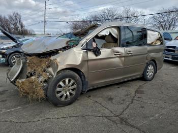  Salvage Honda Odyssey