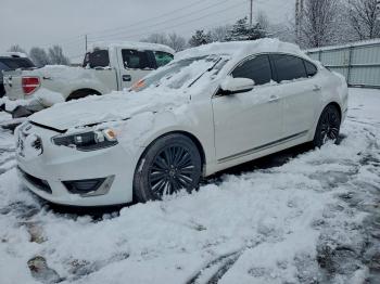  Salvage Kia Cadenza