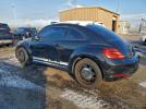 Volkswagen Beetle Image 11