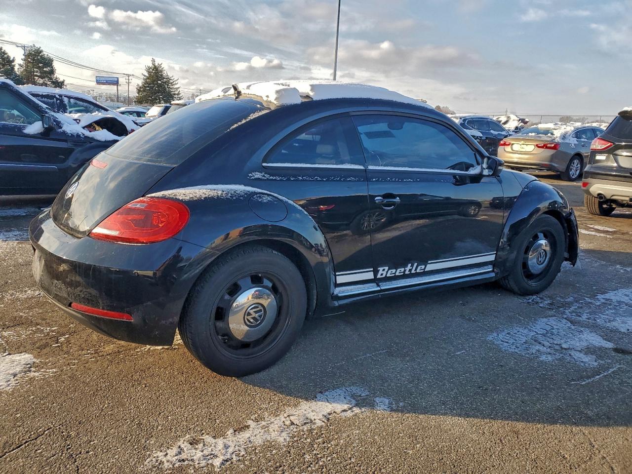 Volkswagen Beetle Image 9