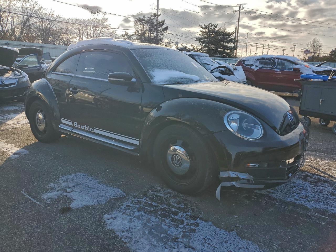 Volkswagen Beetle Image 10